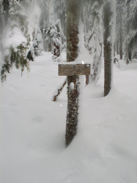 Frog Lake Snowshoe Jan 21 2005 029 